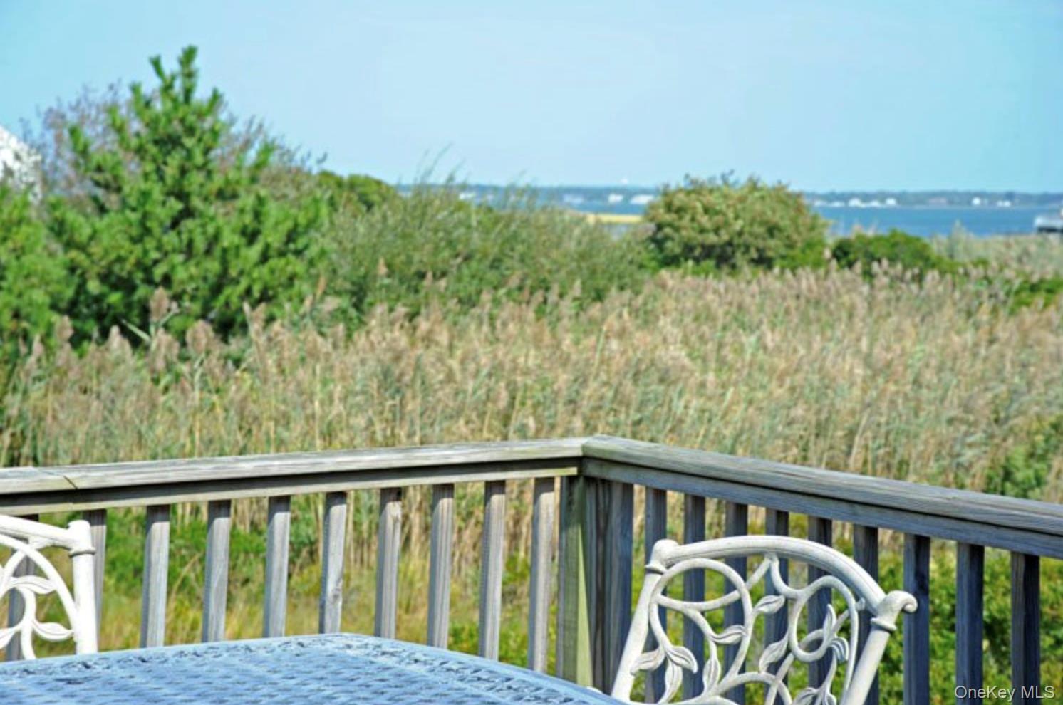 900 Dune Road Property Photo 12