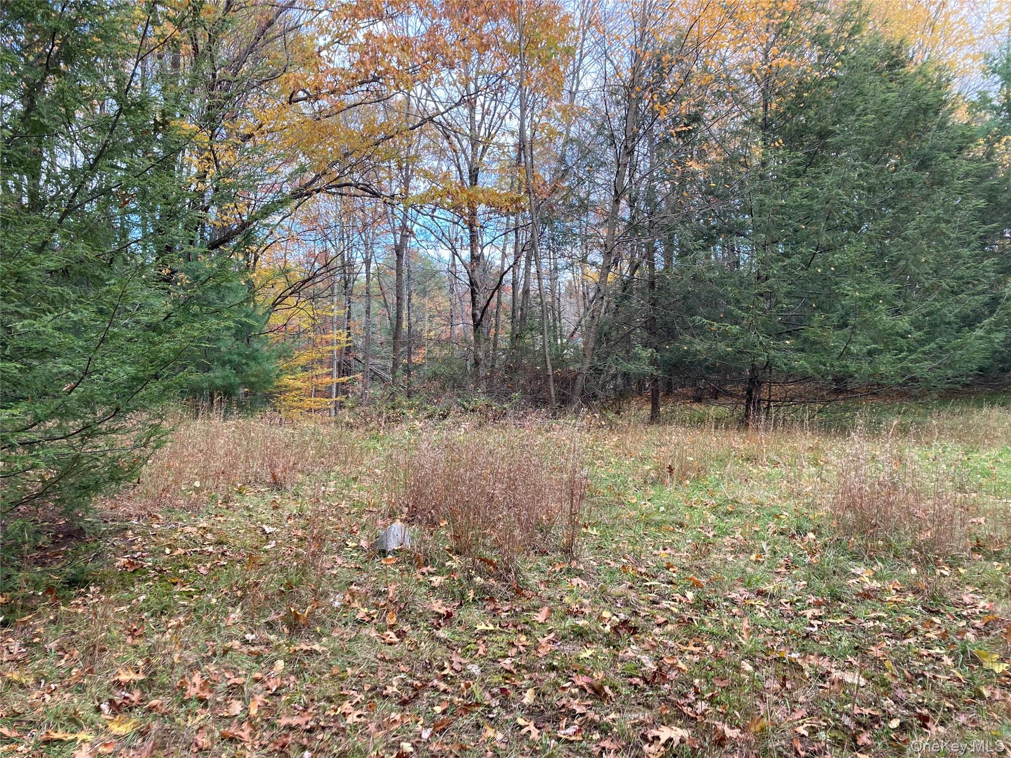 403 & 405 Rock Hill Drive Property Photo 6