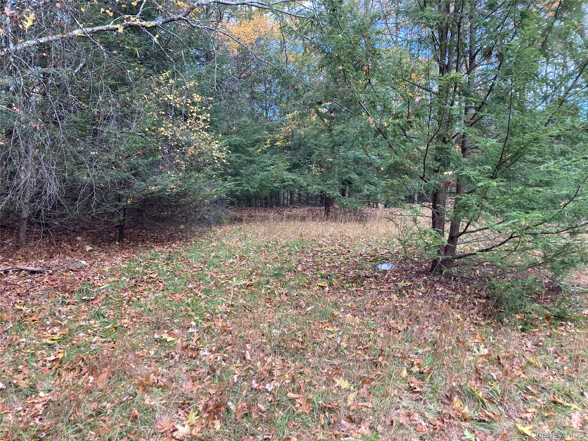 403 & 405 Rock Hill Drive Property Photo 7
