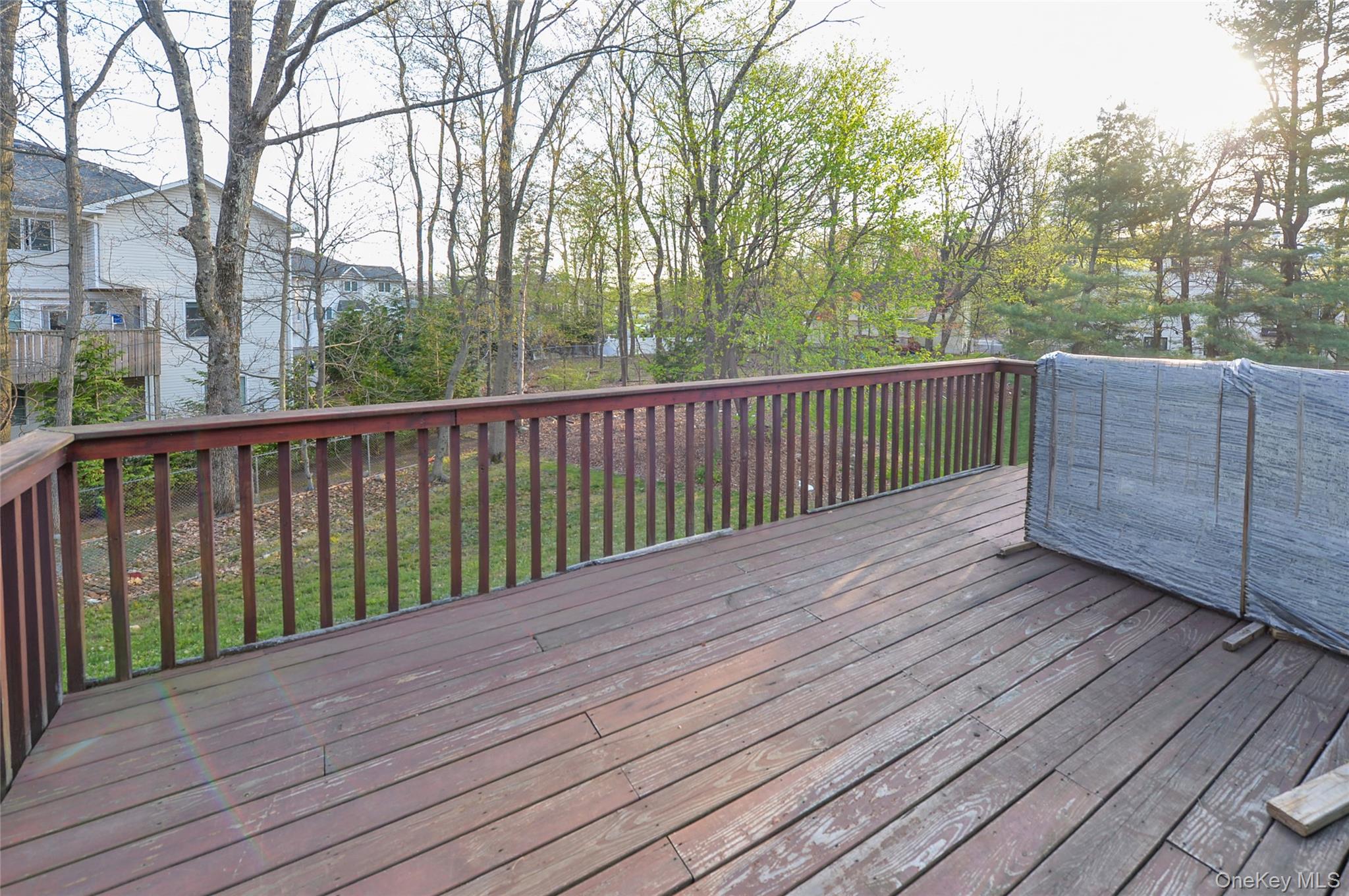 49-51 Albert Drive Property Photo 23