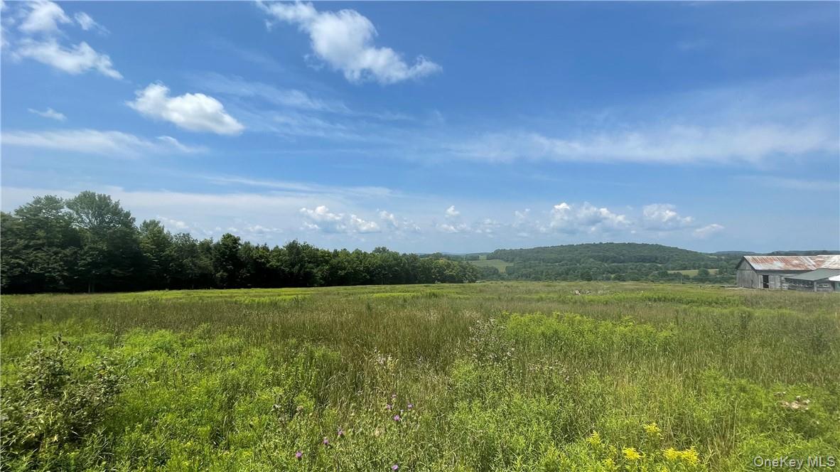 Beechwoods Road Property Photo 10