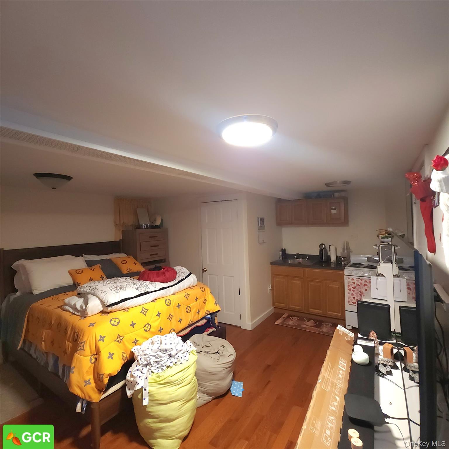735 E 93rd Street Property Photo 12
