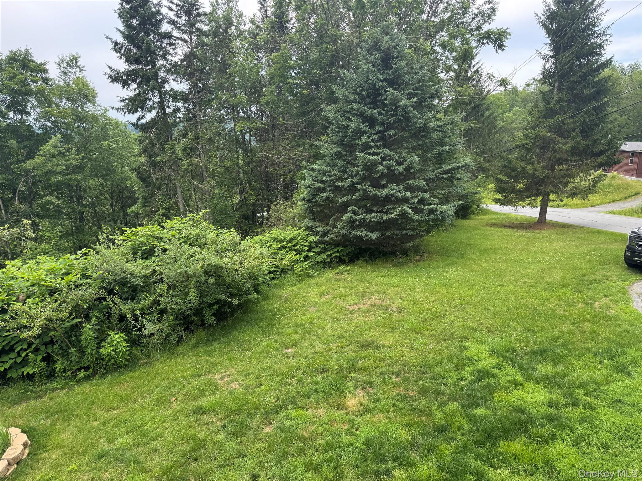 96 White Roe Lake Road Property Photo 6