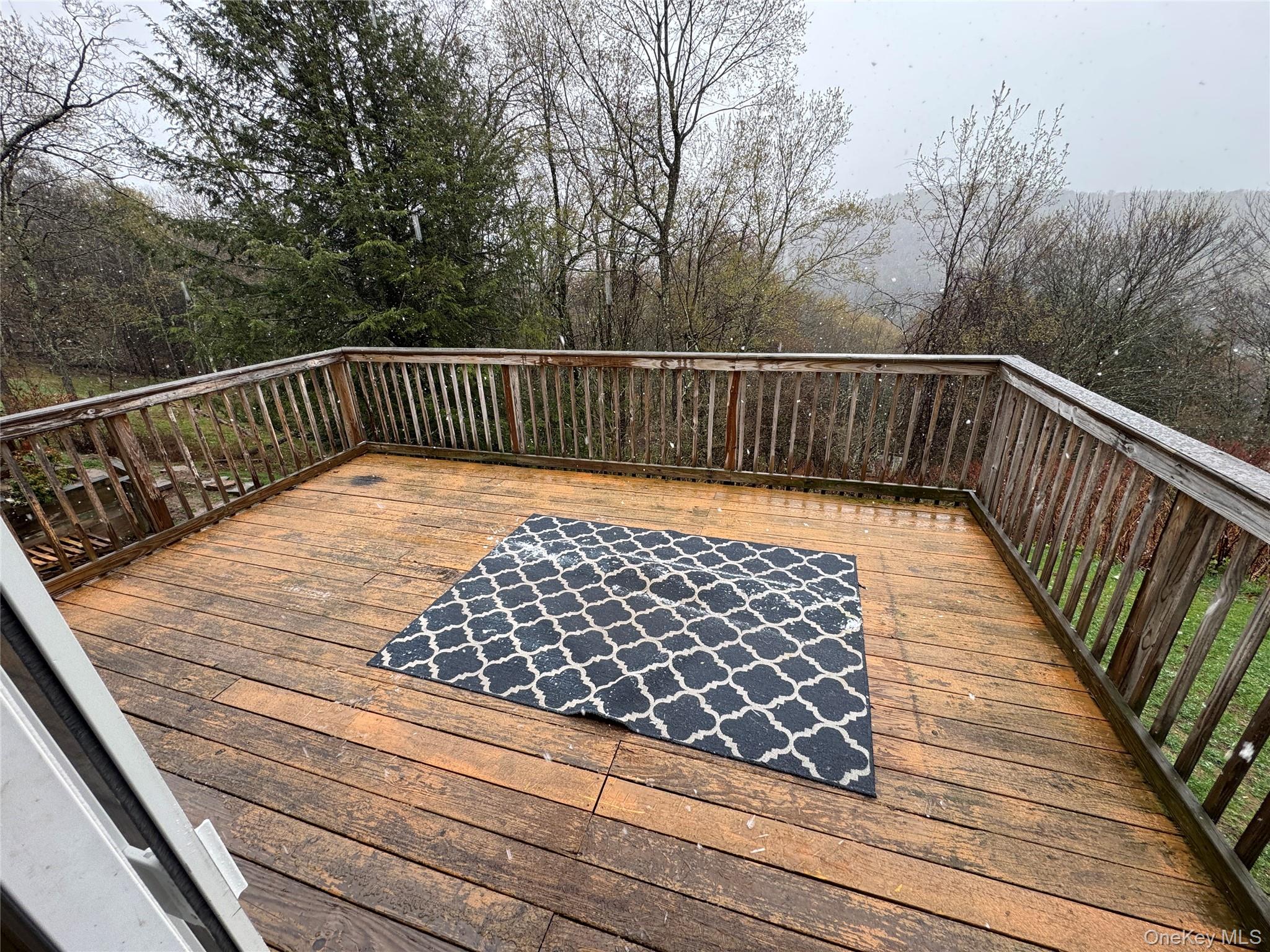 96 White Roe Lake Road Property Photo 27