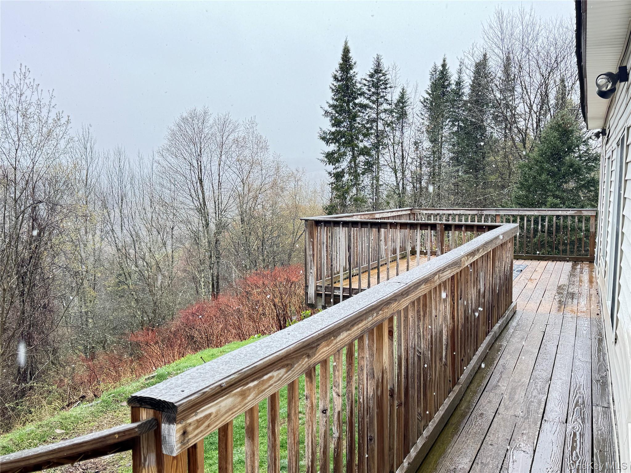 96 White Roe Lake Road Property Photo 28