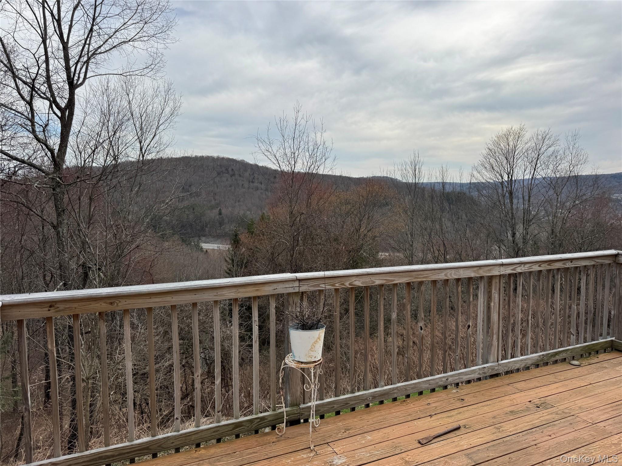 96 White Roe Lake Road Property Photo 29
