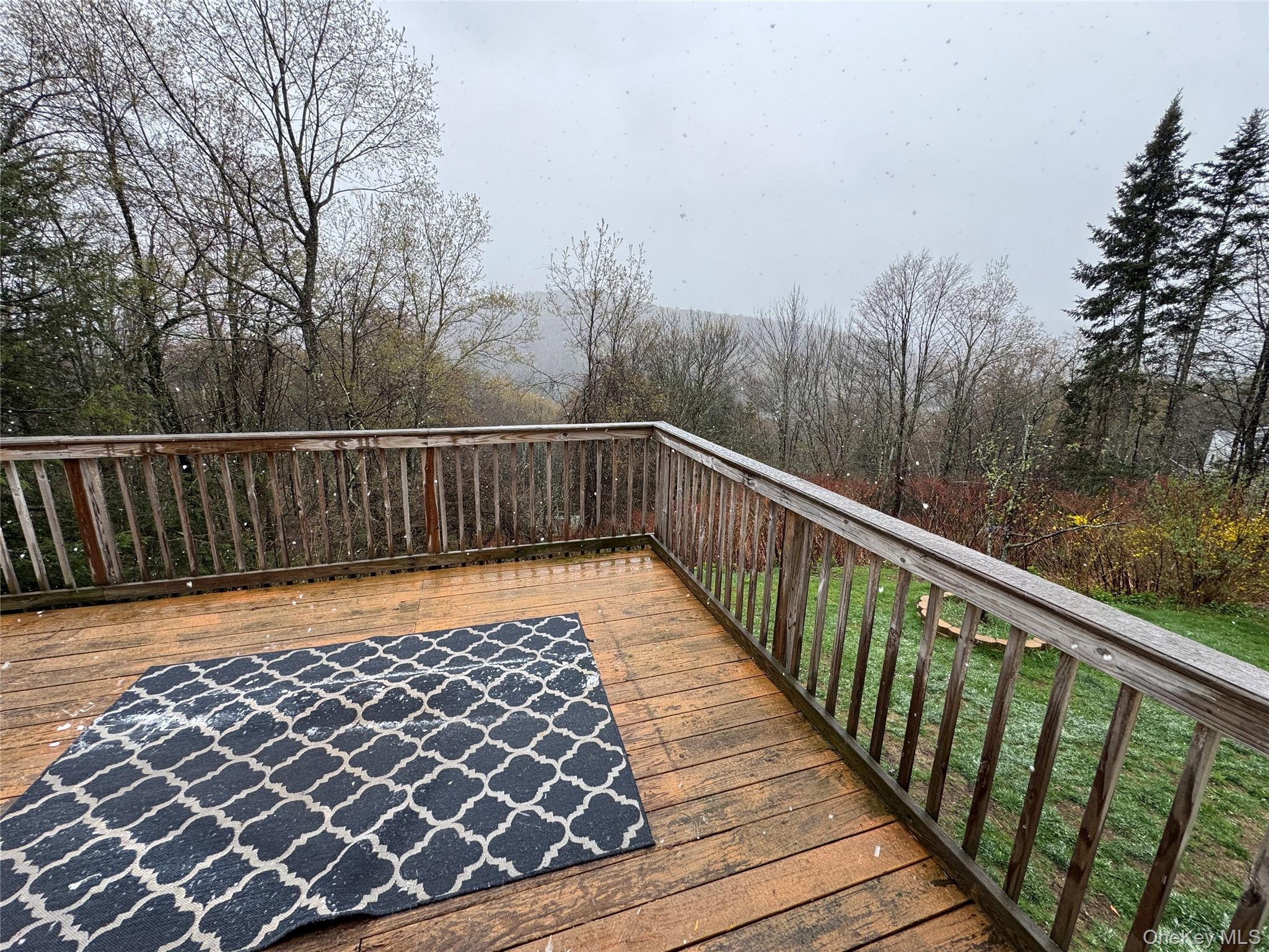 96 White Roe Lake Road Property Photo 30