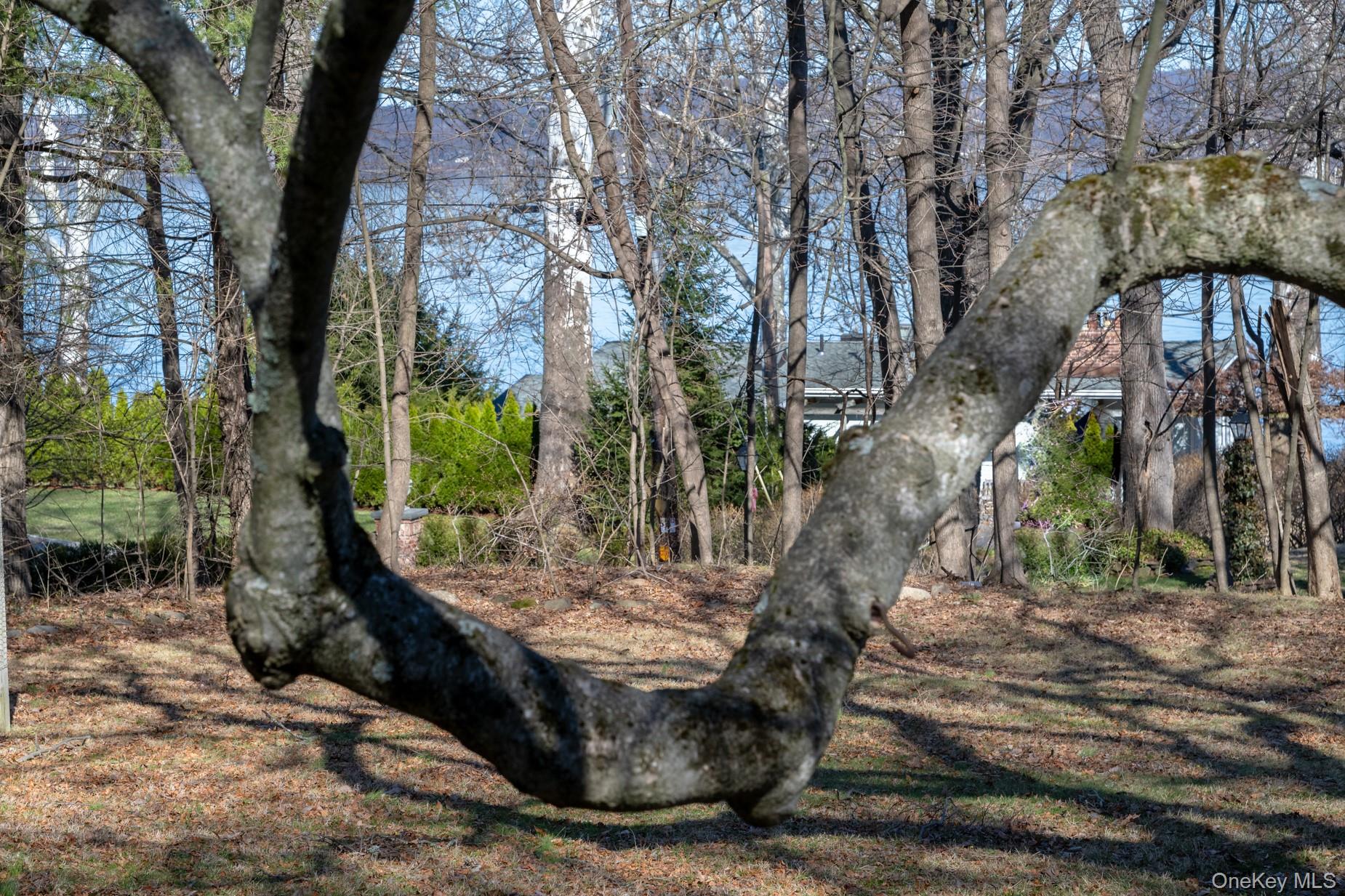 23 Clinton Avenue Property Photo 34