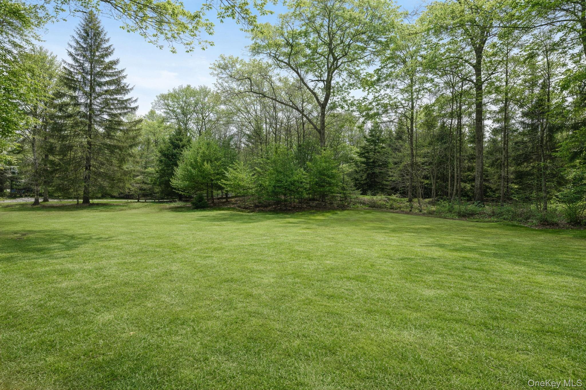 58 Old Logging Road Property Photo 32