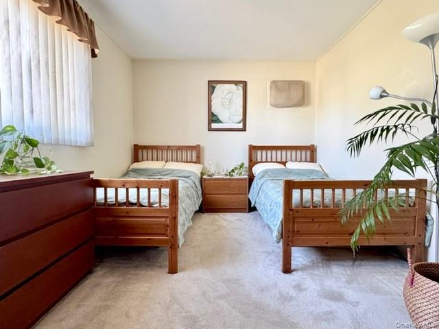 41 Charlotte Place Property Photo 17