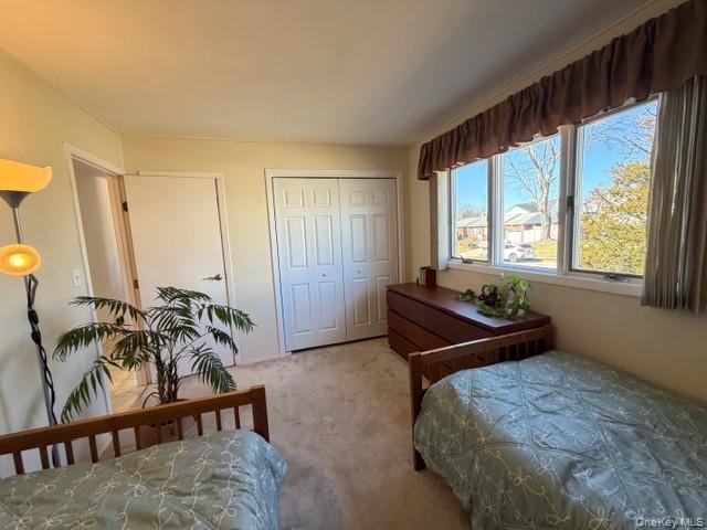 41 Charlotte Place Property Photo 18