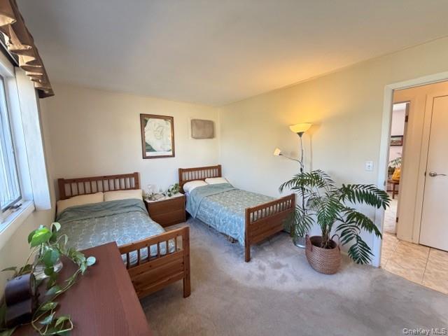 41 Charlotte Place Property Photo 19