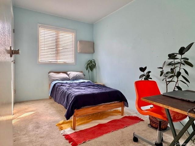 41 Charlotte Place Property Photo 25