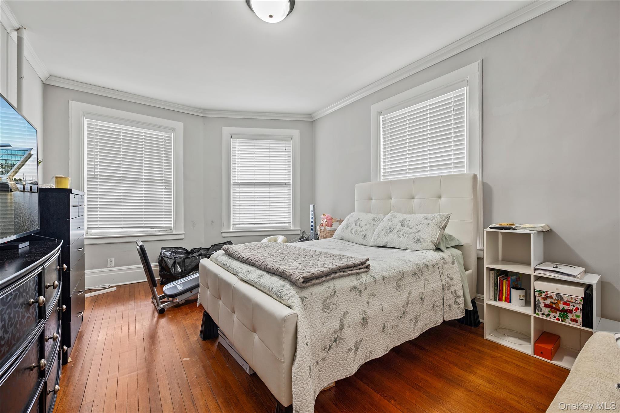 232 Westchester Avenue Property Photo 22