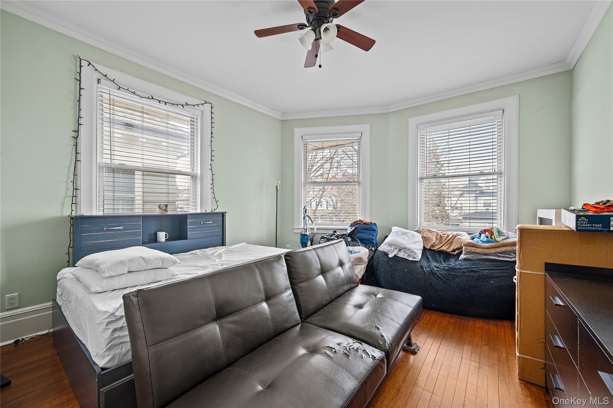 232 Westchester Avenue Property Photo 24