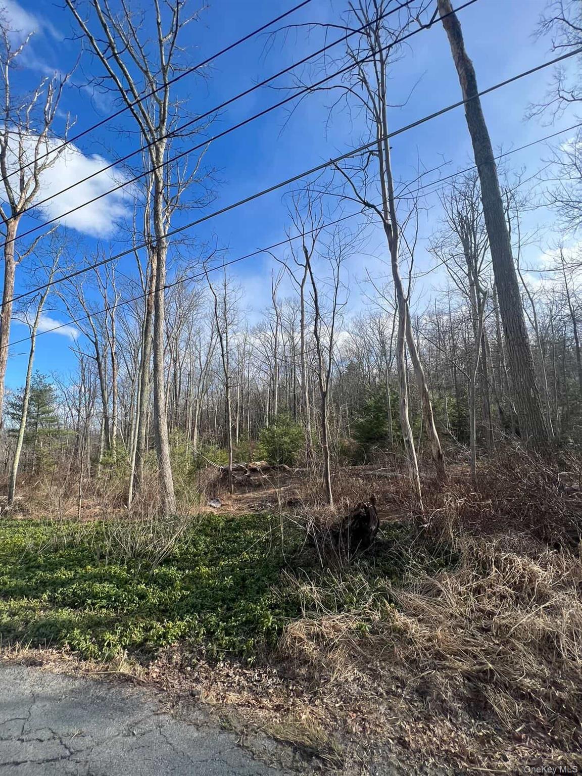 0 Laurel Trail Property Photo 1