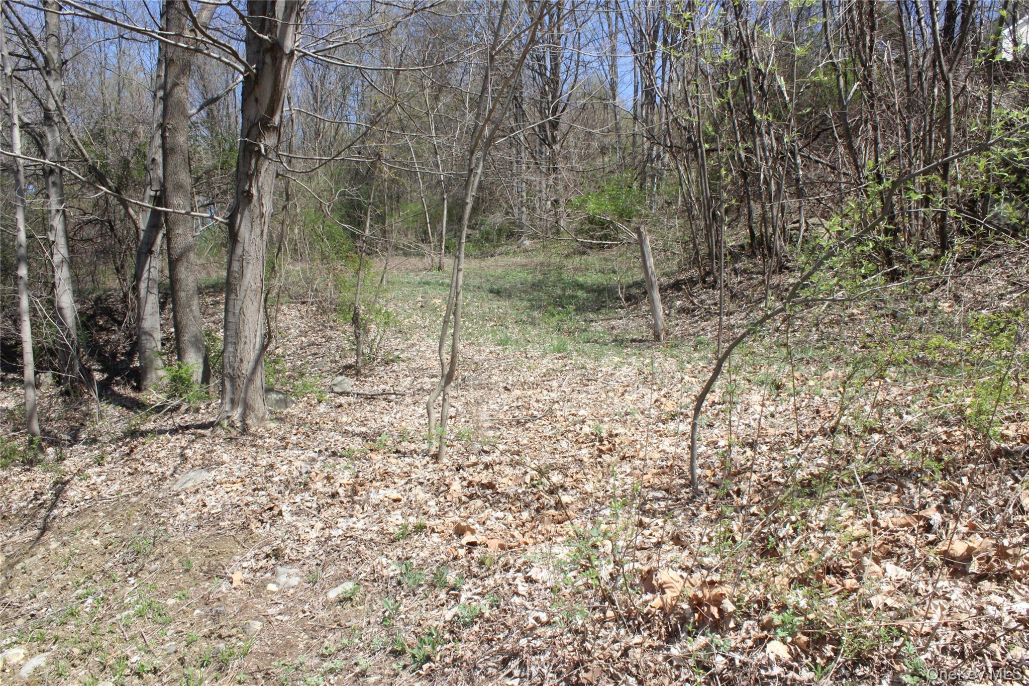 0 Old State Route 22 Property Photo 1