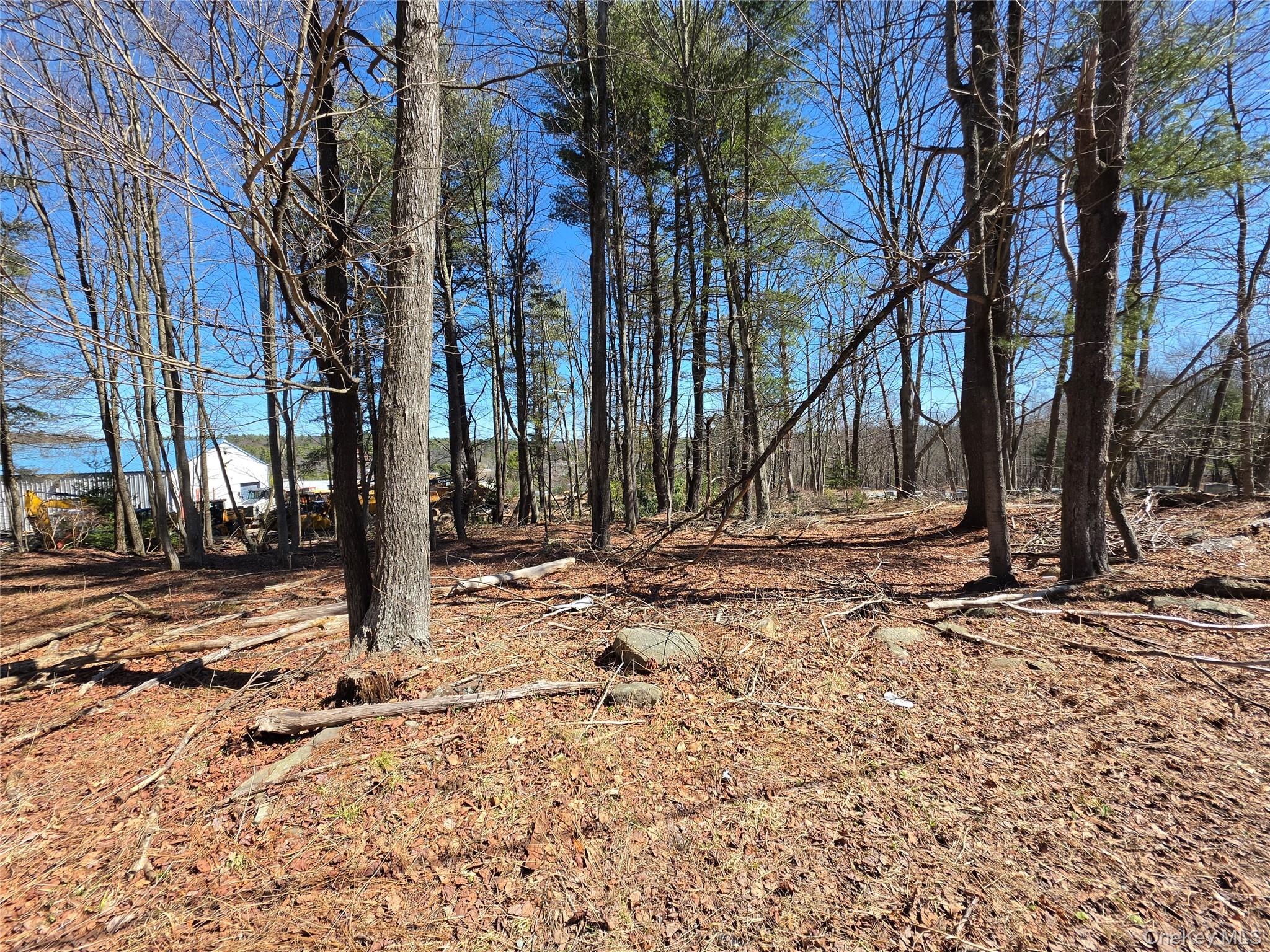 740 Southwoods Drive Property Photo 35