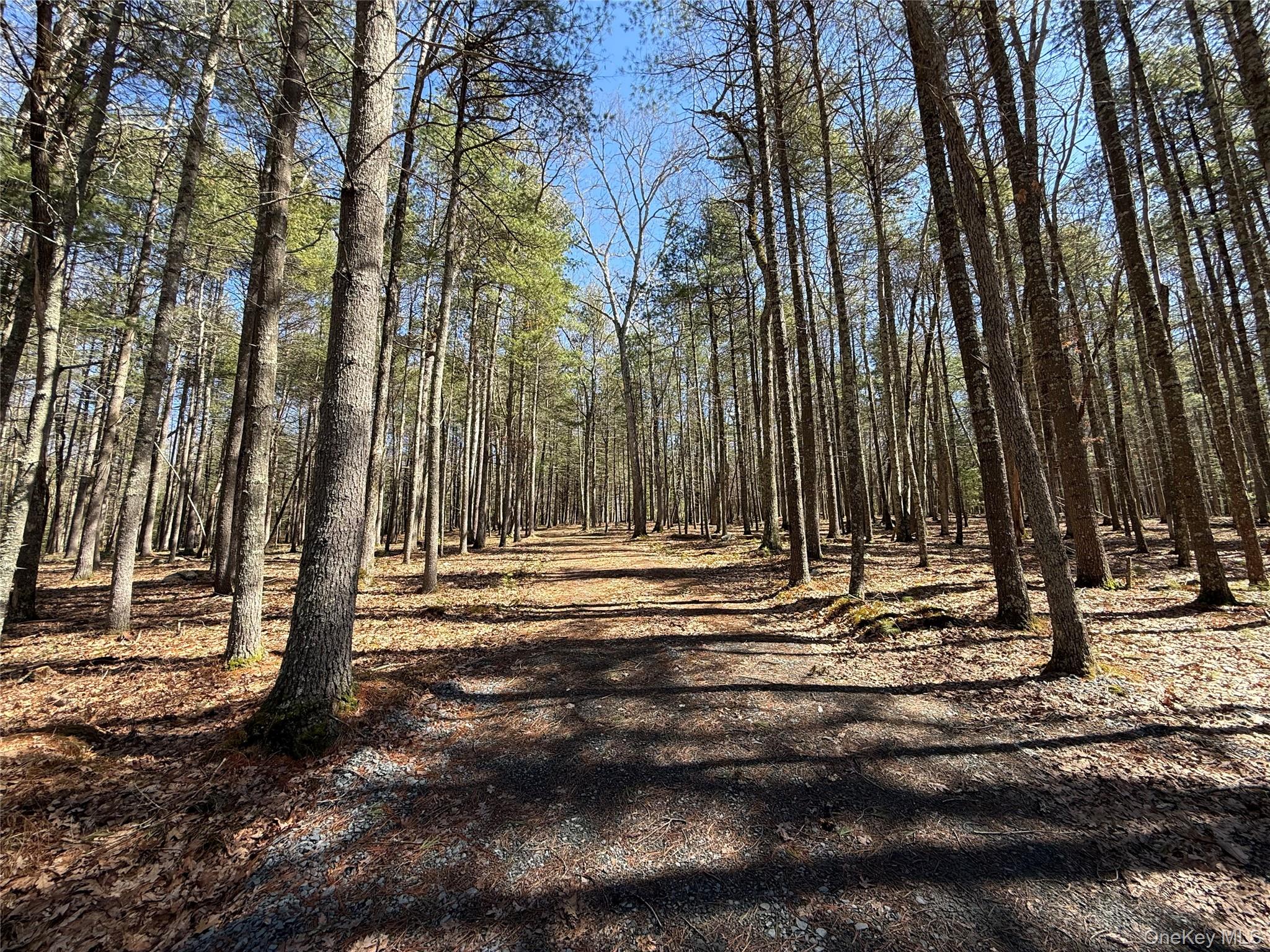 Upper Lumber Road Property Photo 3