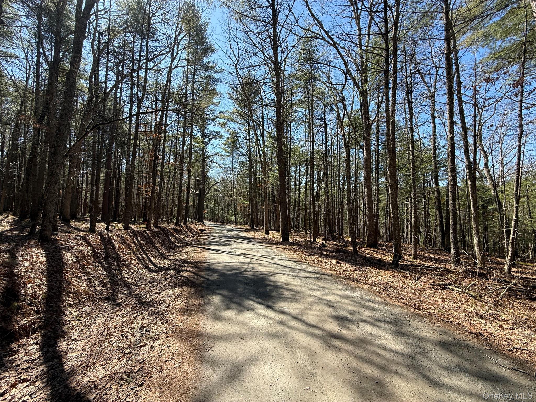Upper Lumber Road Property Photo 4