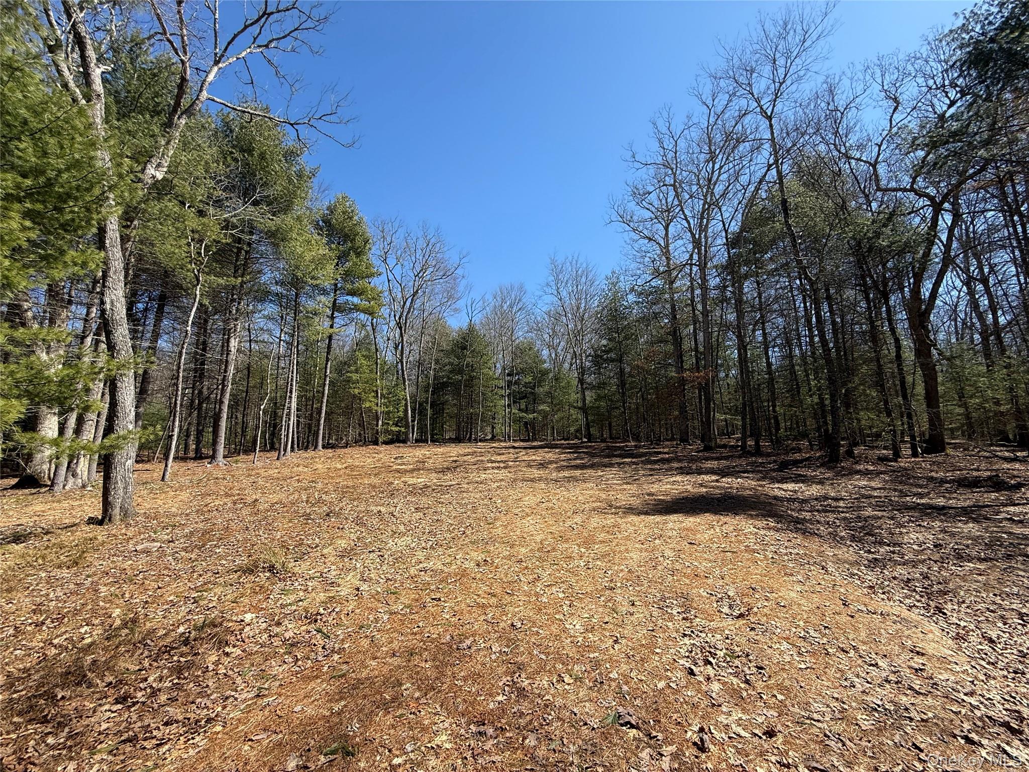 Upper Lumber Road Property Photo 5
