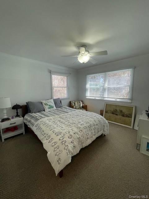 35 Maple Street Property Photo 15