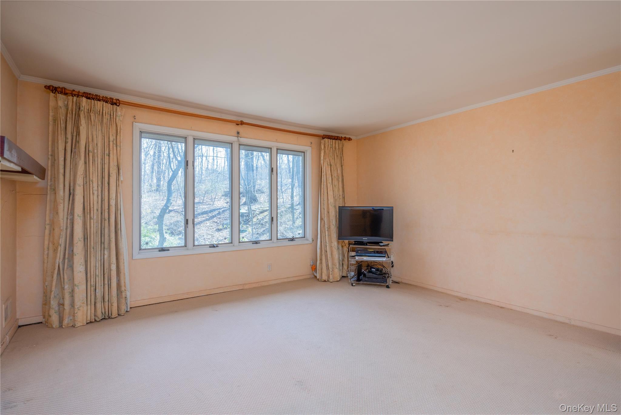 5410 Mosholu Avenue Property Photo 17