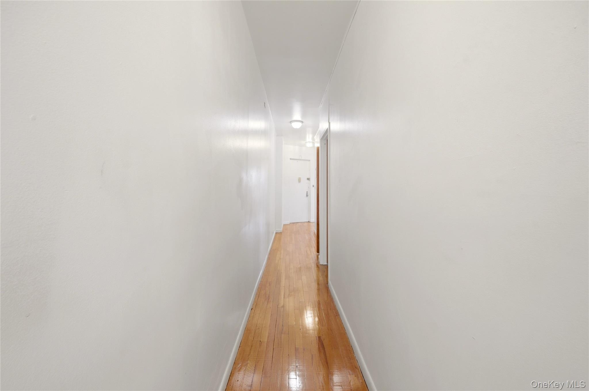 823 Fox Street 4b Property Photo 5