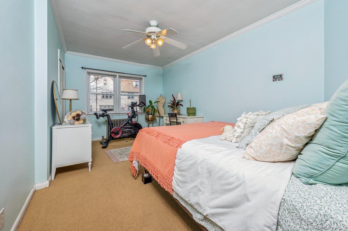 3 Fletcher Avenue Property Photo 22