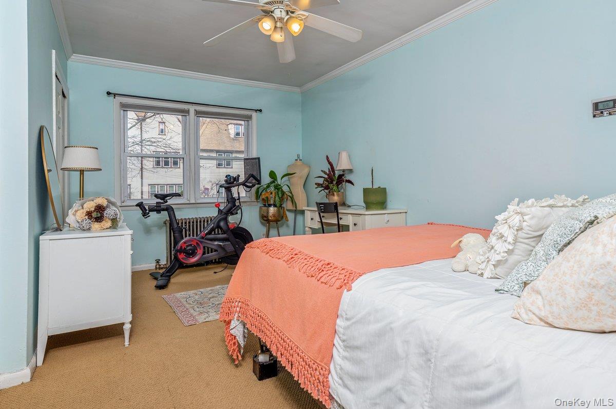 3 Fletcher Avenue Property Photo 23