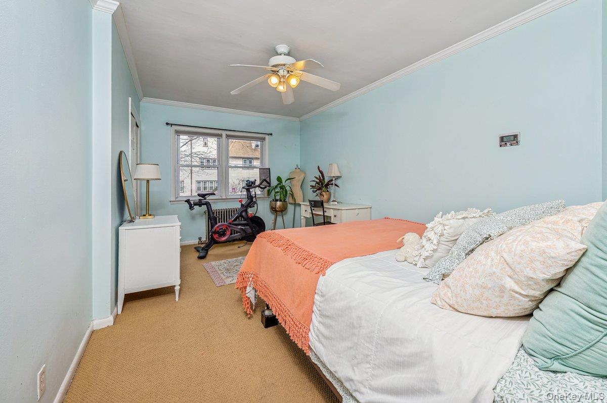 3 Fletcher Avenue Property Photo 24