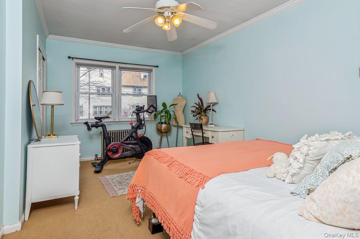 3 Fletcher Avenue Property Photo 25