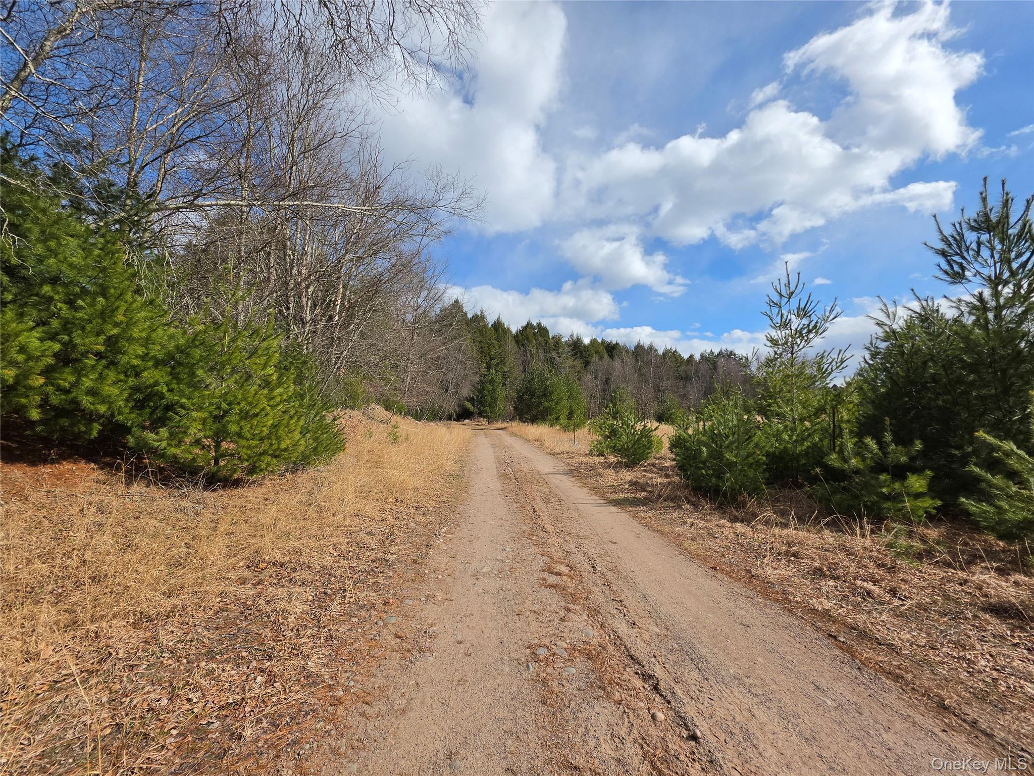 Tbd Bobwhite Trail Property Photo 1
