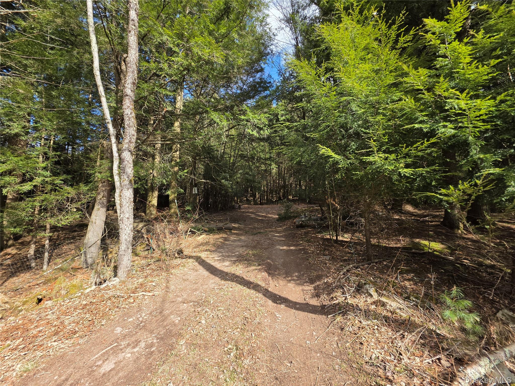 Tbd Bobwhite Trail Property Photo 2