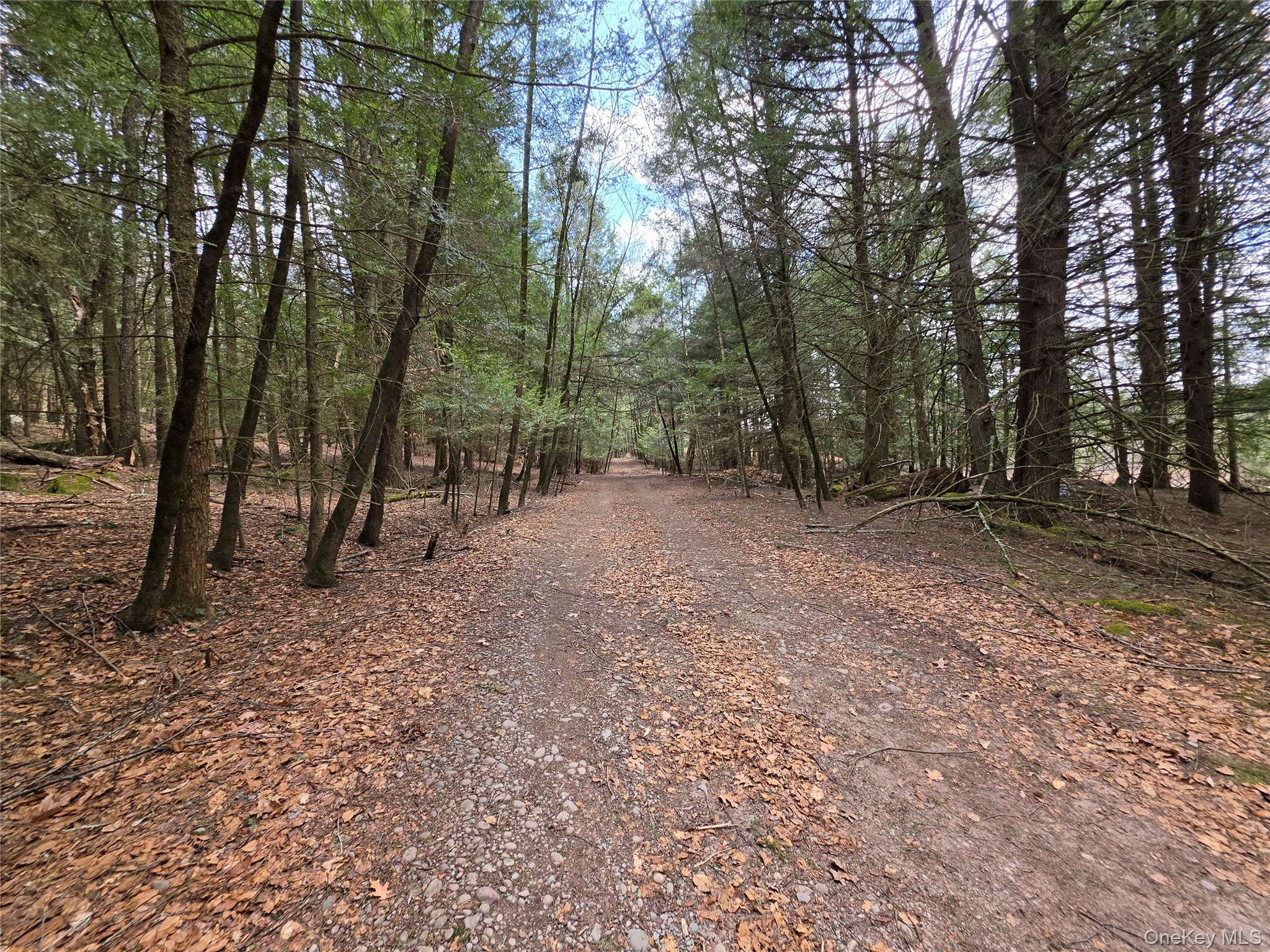 Tbd Bobwhite Trail Property Photo 5
