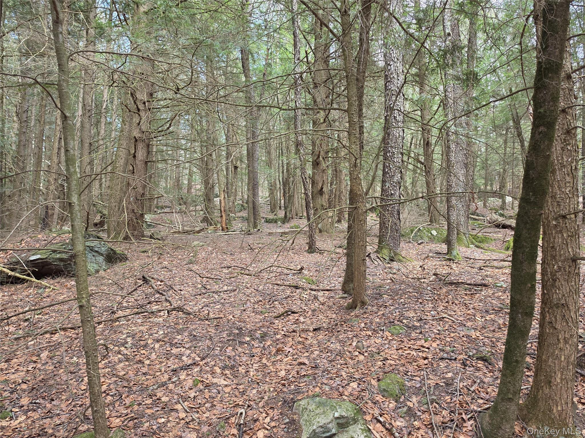 Tbd Bobwhite Trail Property Photo 7