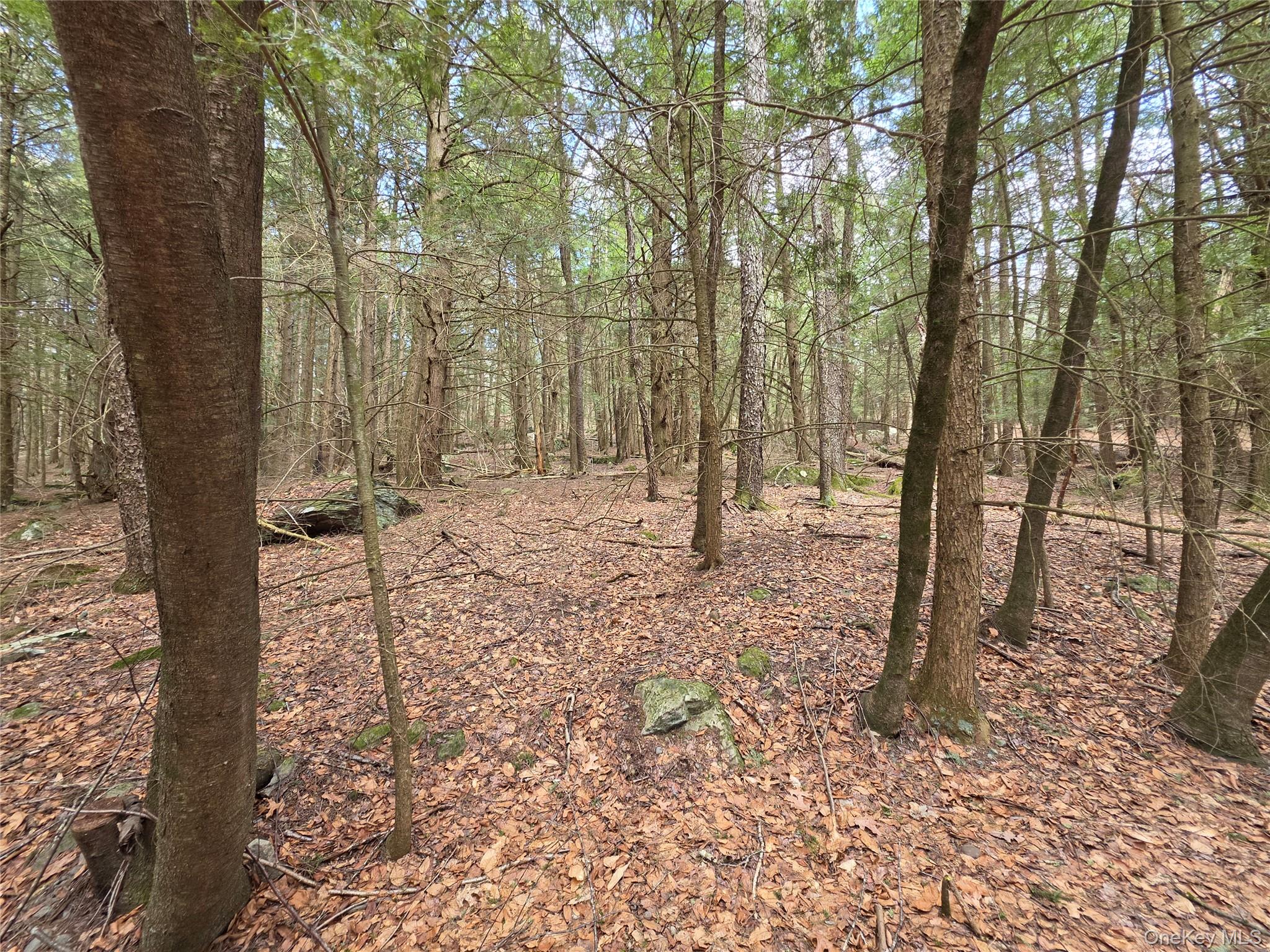 Tbd Bobwhite Trail Property Photo 8