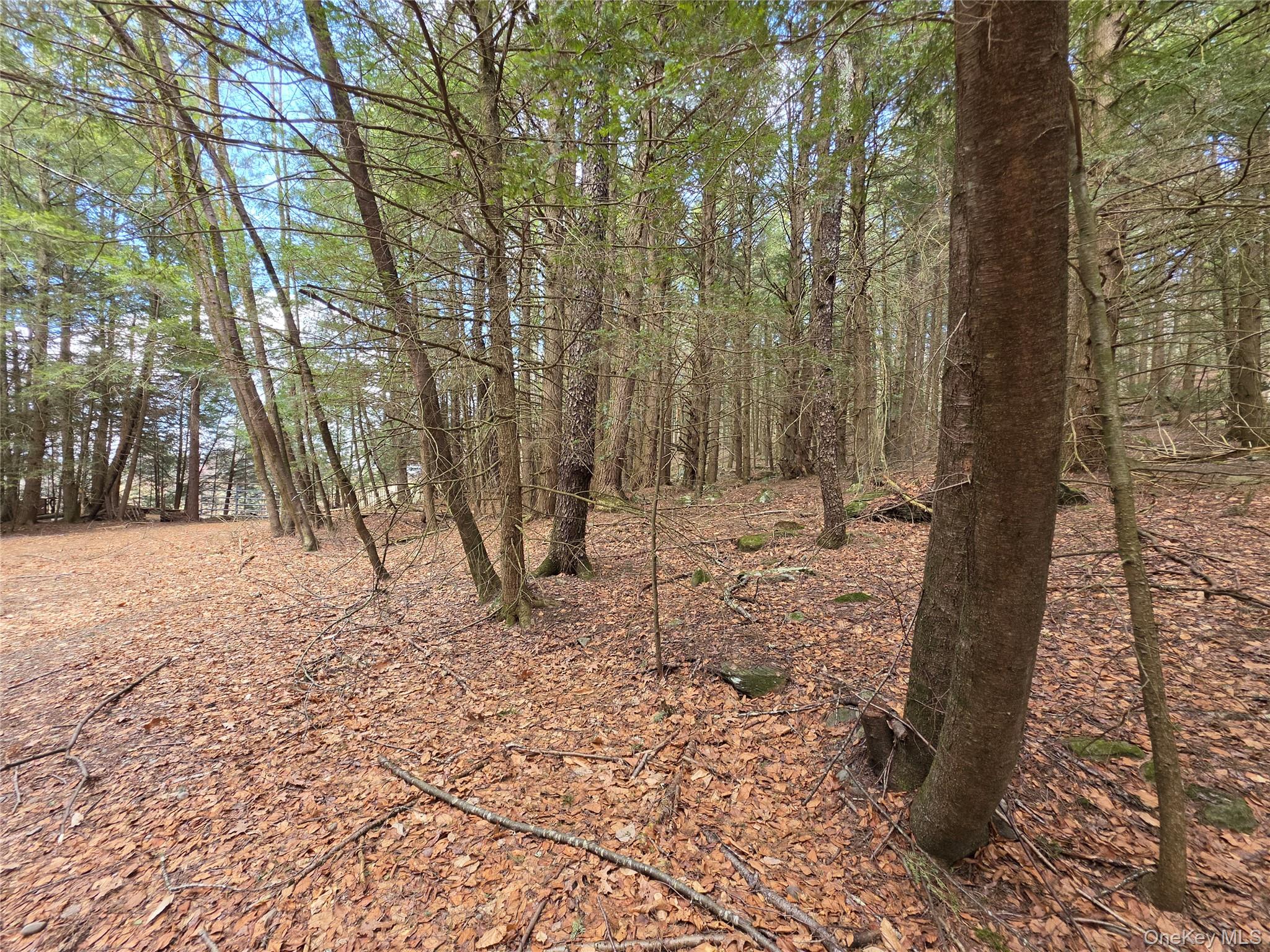 Tbd Bobwhite Trail Property Photo 9
