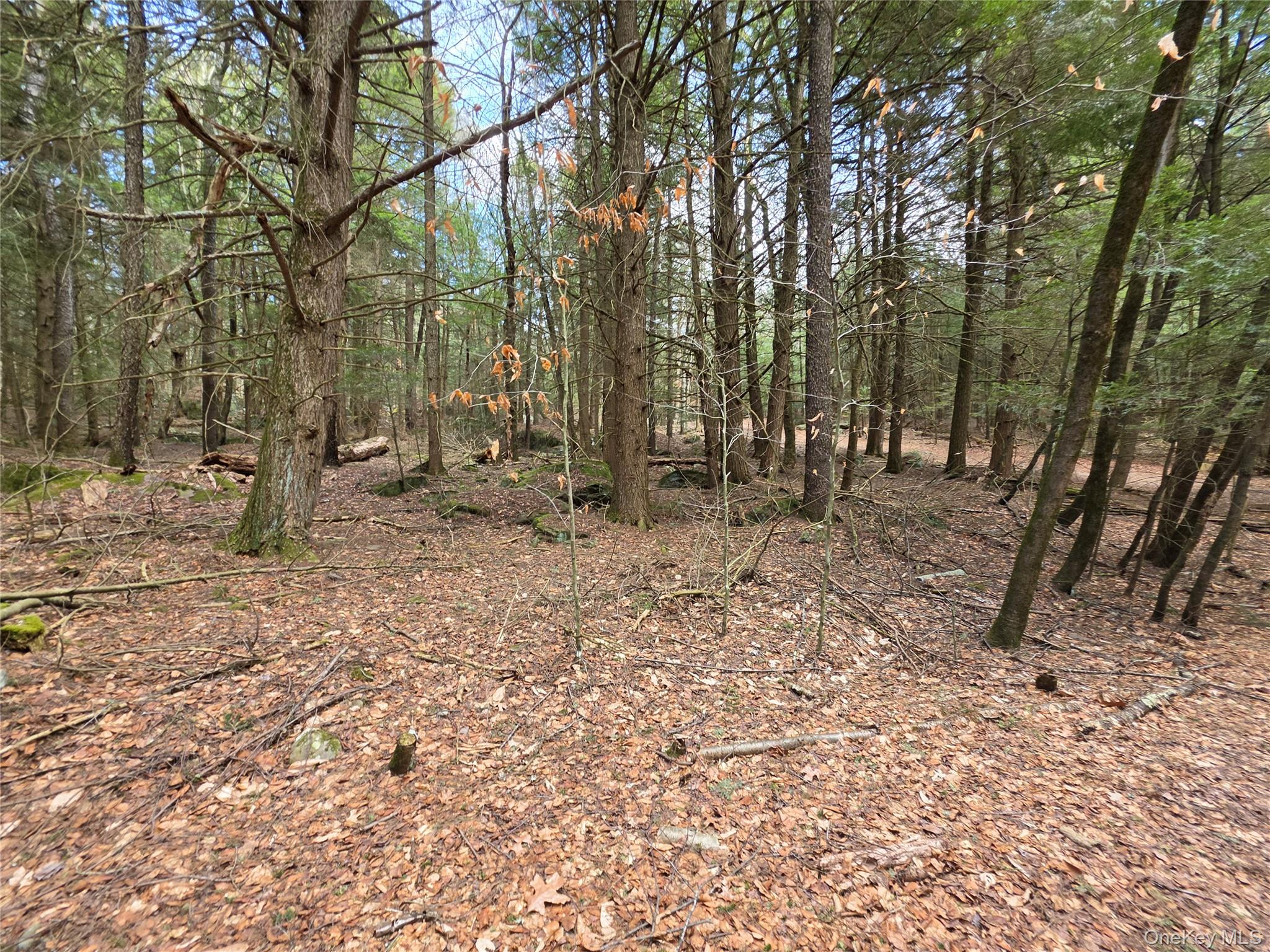 Tbd Bobwhite Trail Property Photo 10