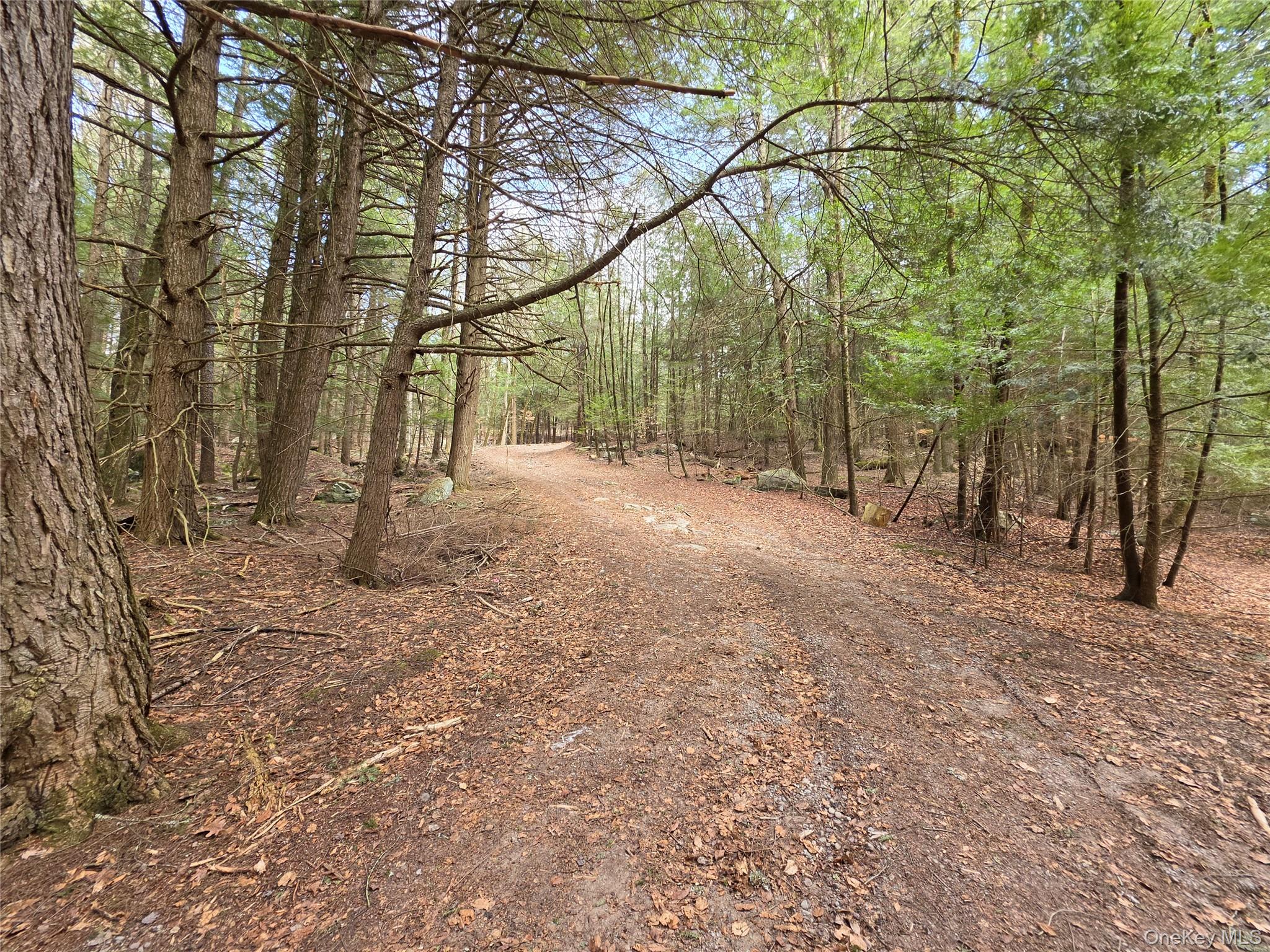 Tbd Bobwhite Trail Property Photo 12