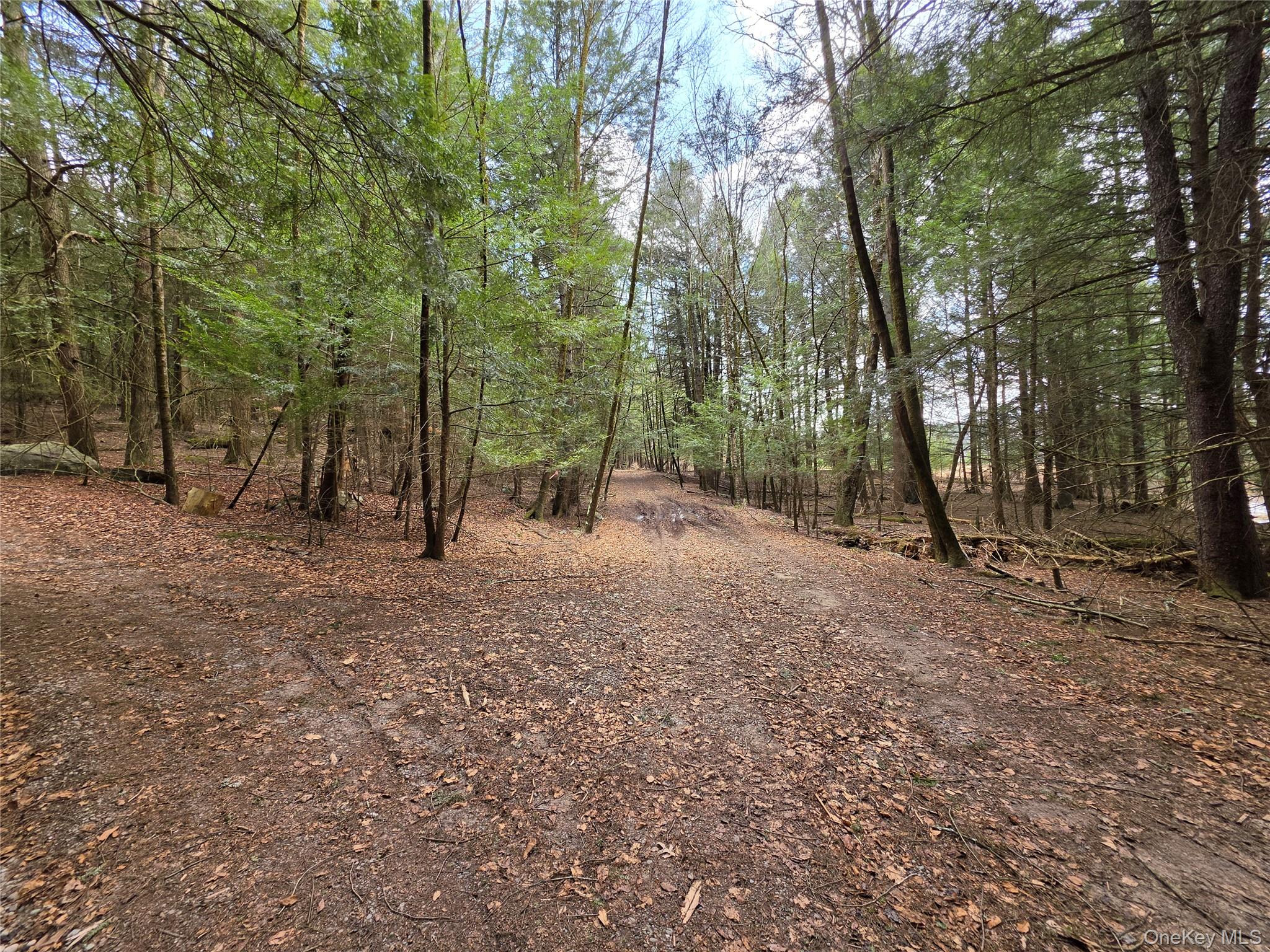 Tbd Bobwhite Trail Property Photo 13