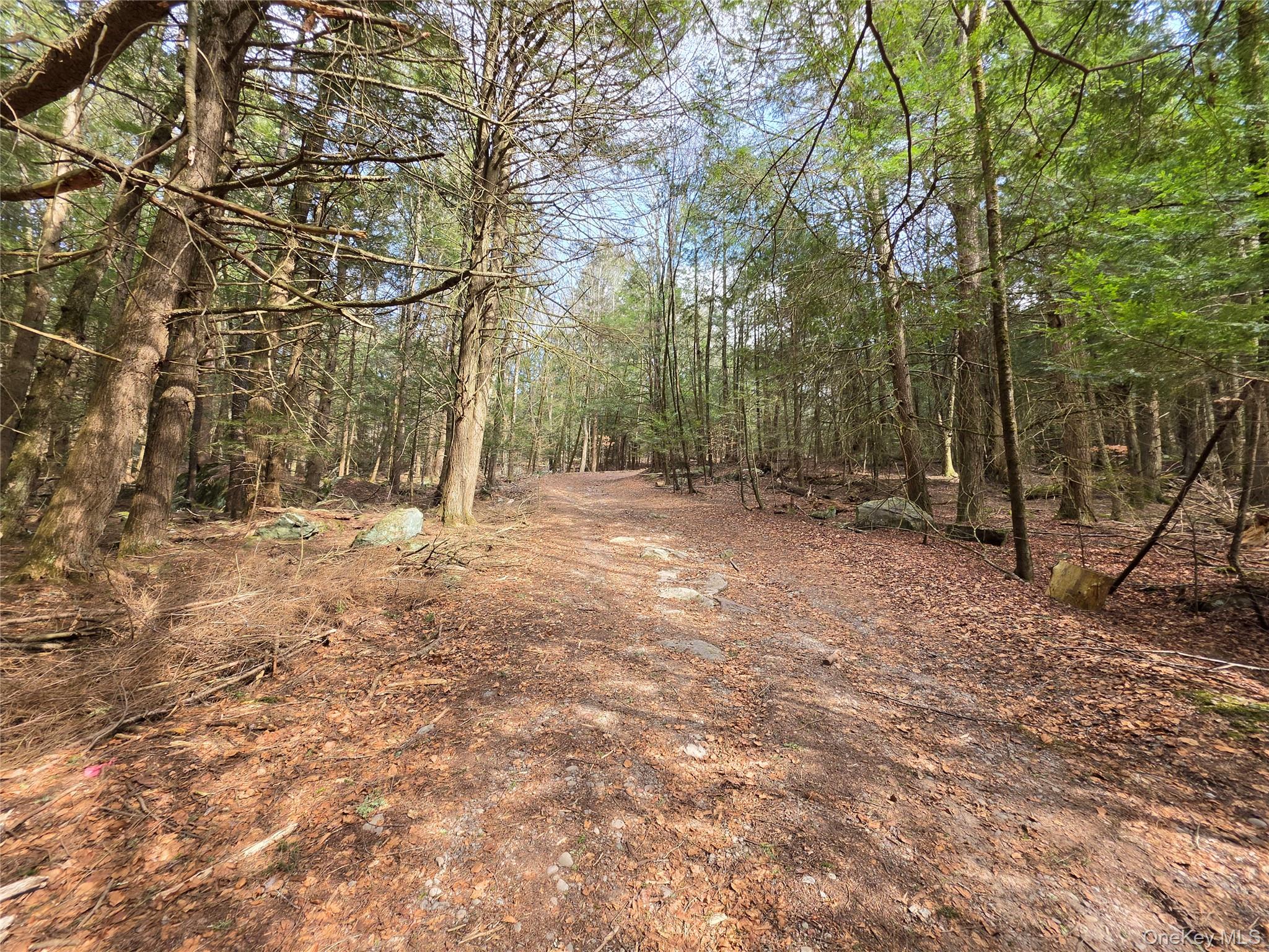 Tbd Bobwhite Trail Property Photo 14