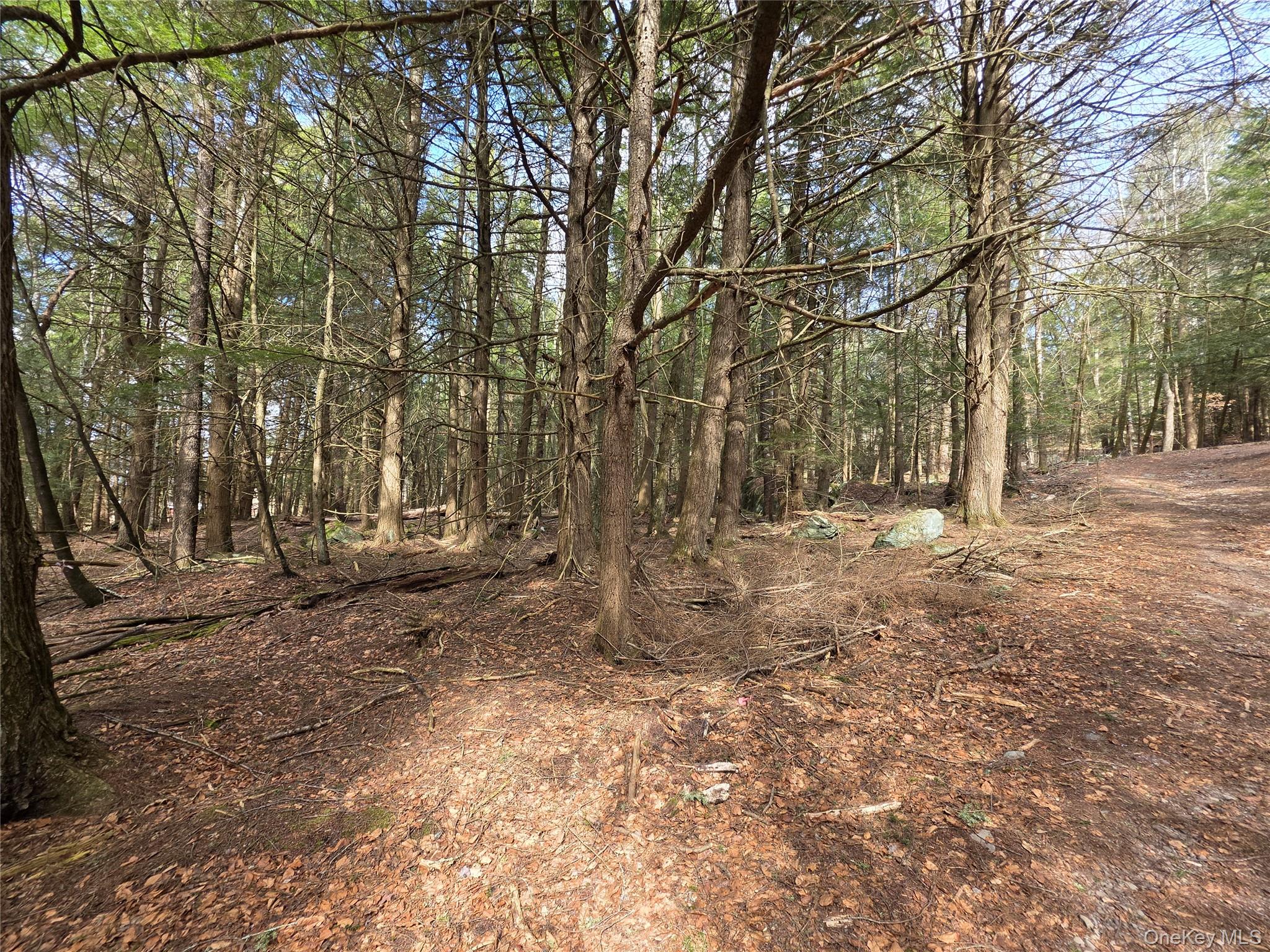 Tbd Bobwhite Trail Property Photo 15