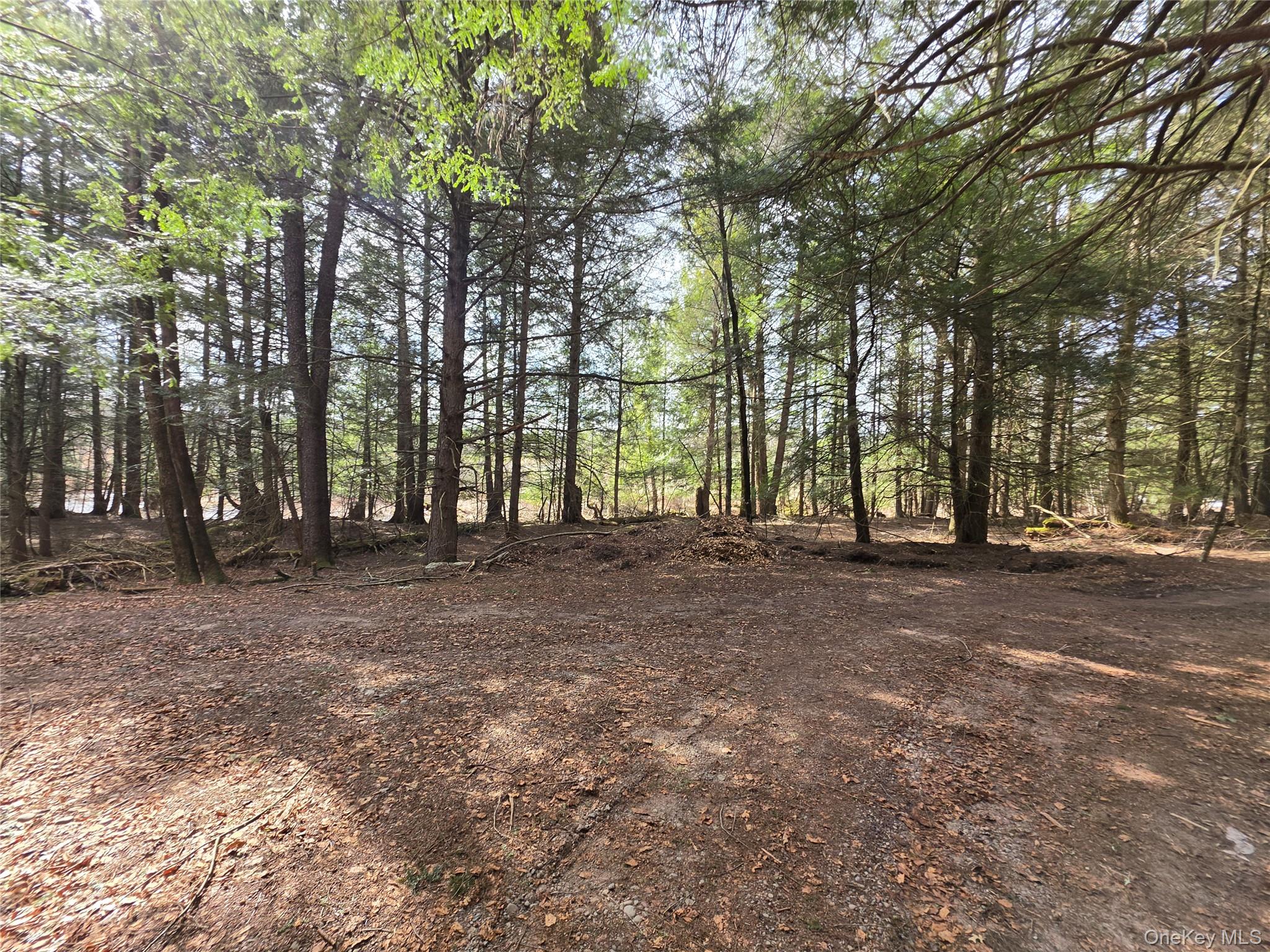 Tbd Bobwhite Trail Property Photo 16