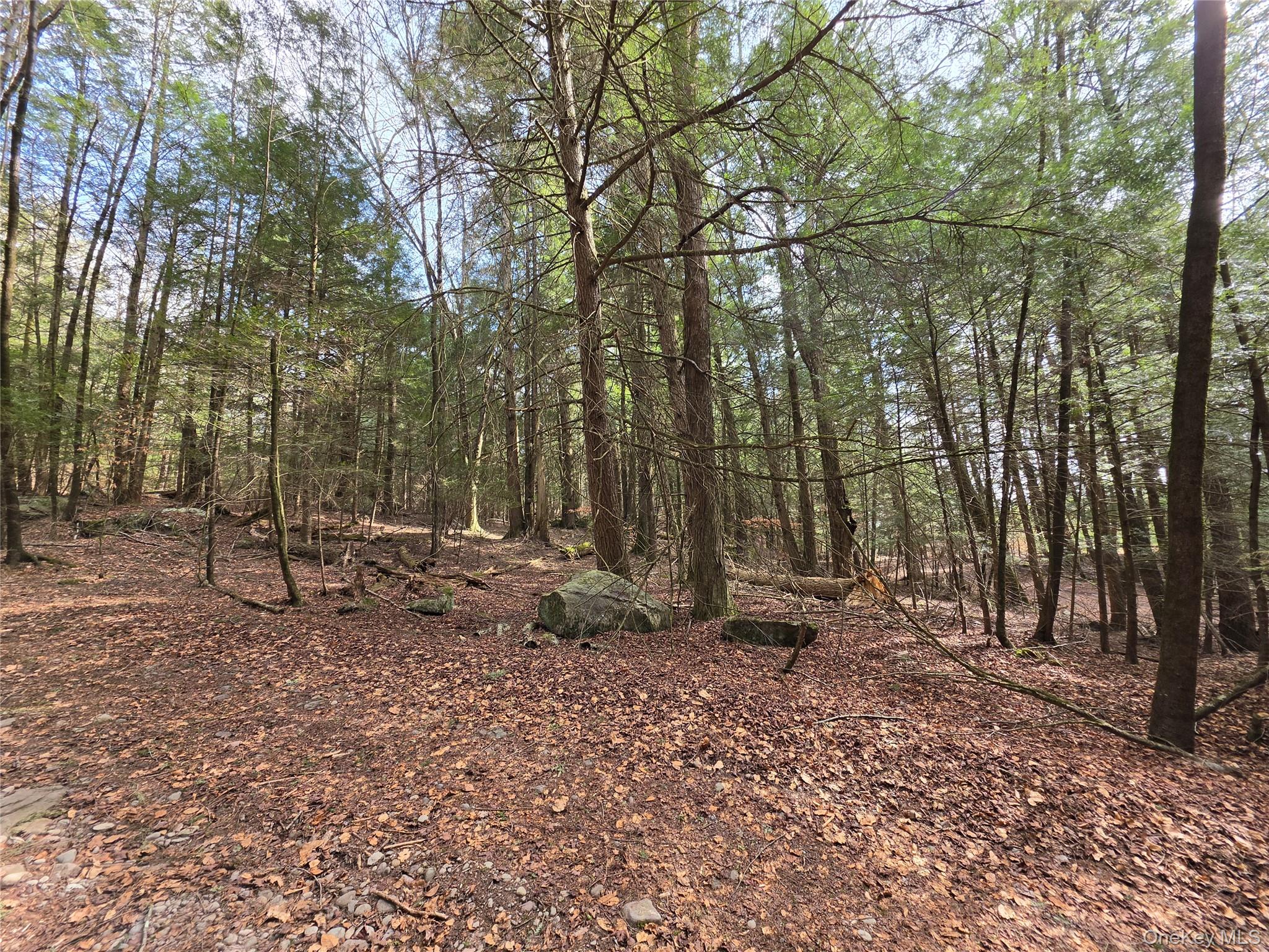 Tbd Bobwhite Trail Property Photo 17