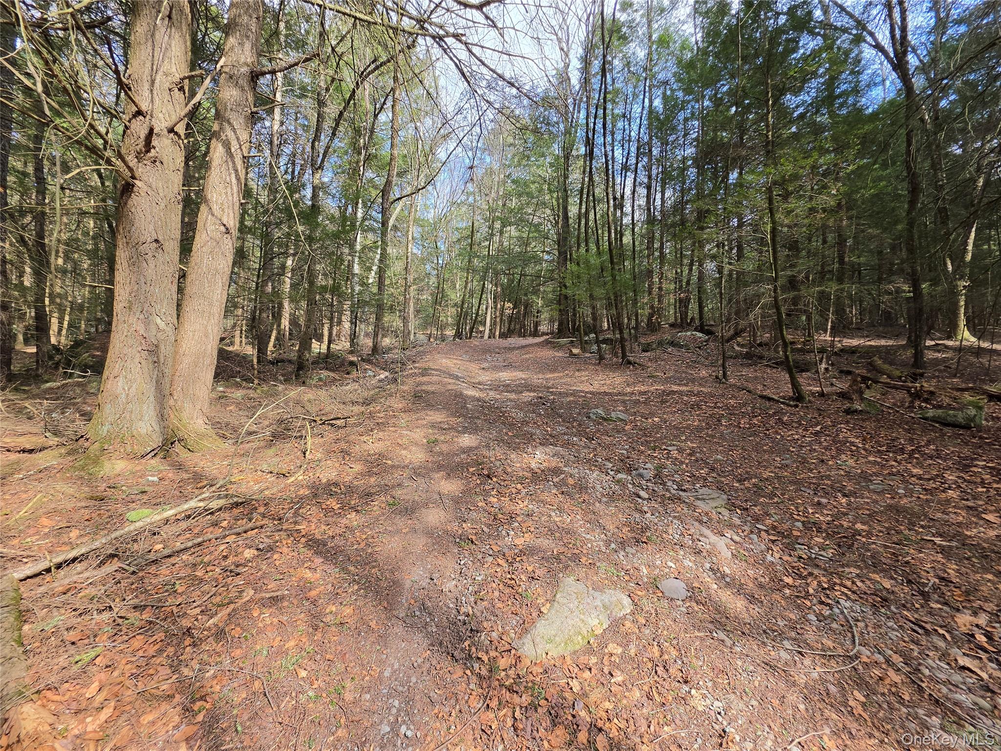 Tbd Bobwhite Trail Property Photo 18