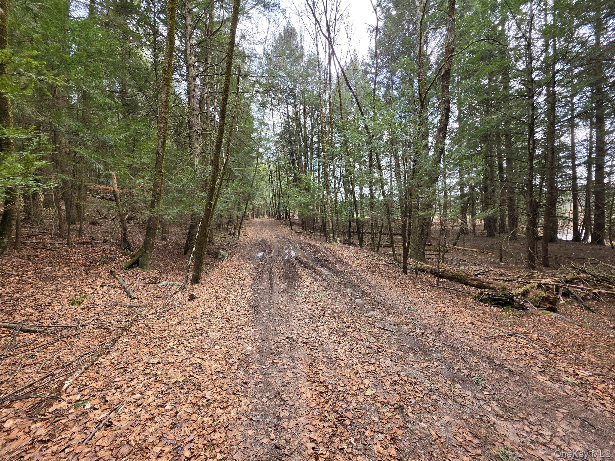 Tbd Bobwhite Trail Property Photo 19