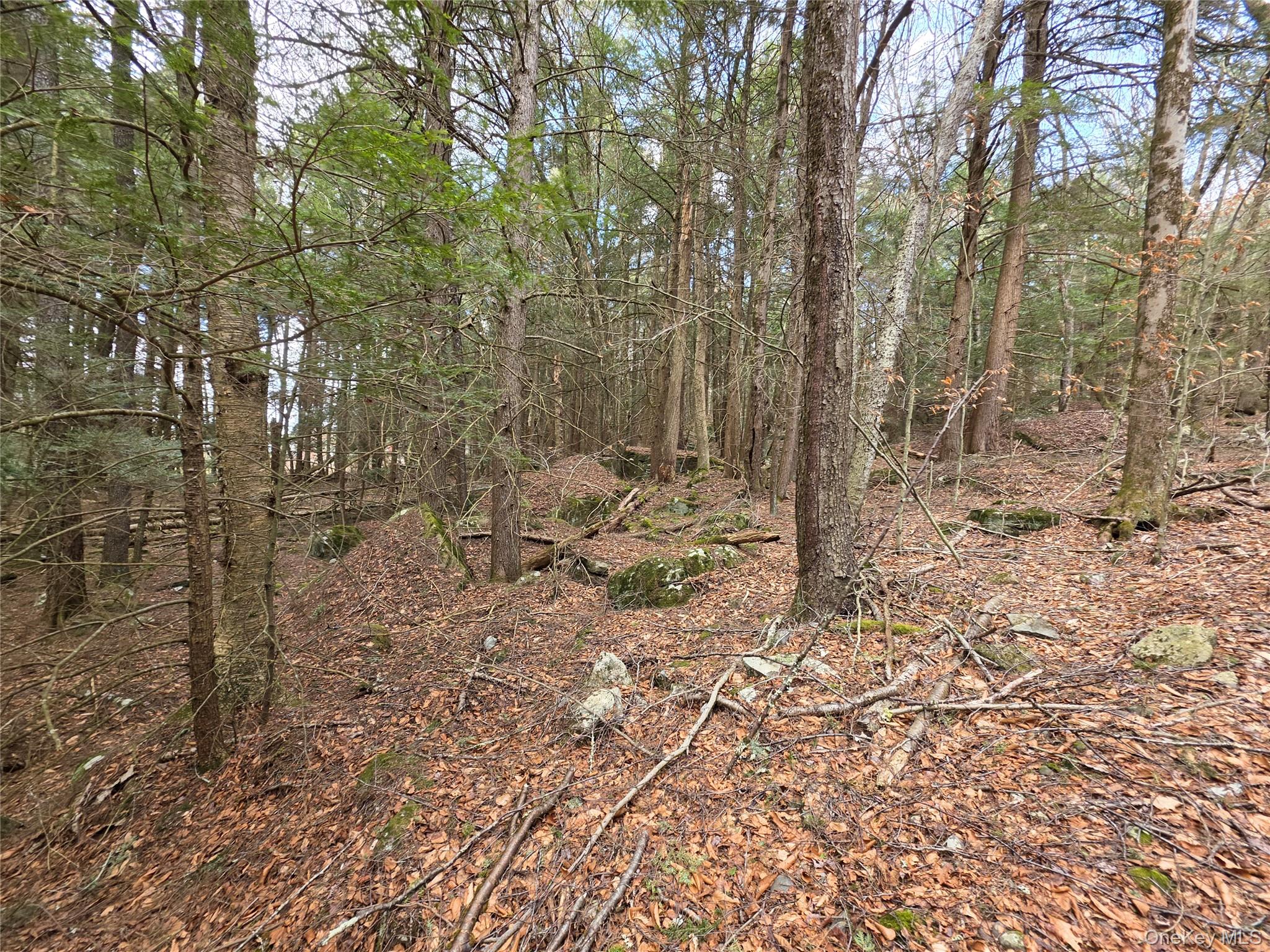 Tbd Bobwhite Trail Property Photo 20