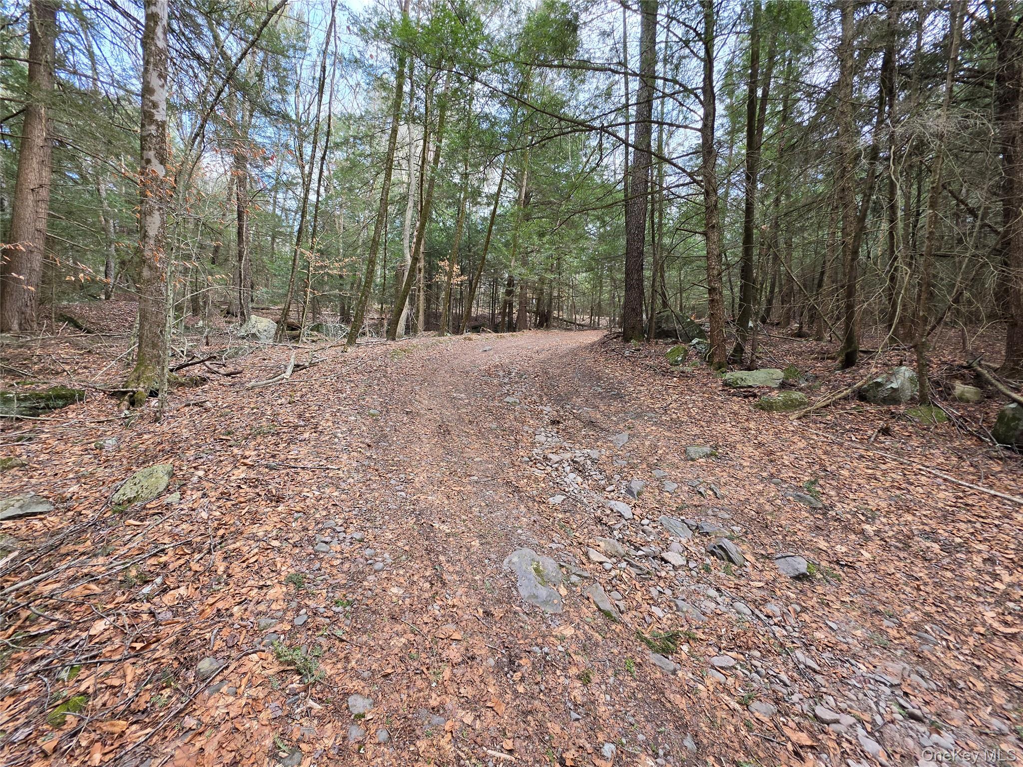 Tbd Bobwhite Trail Property Photo 21
