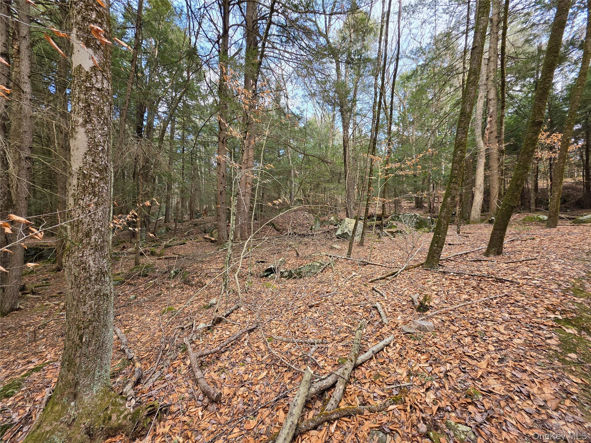Tbd Bobwhite Trail Property Photo 22